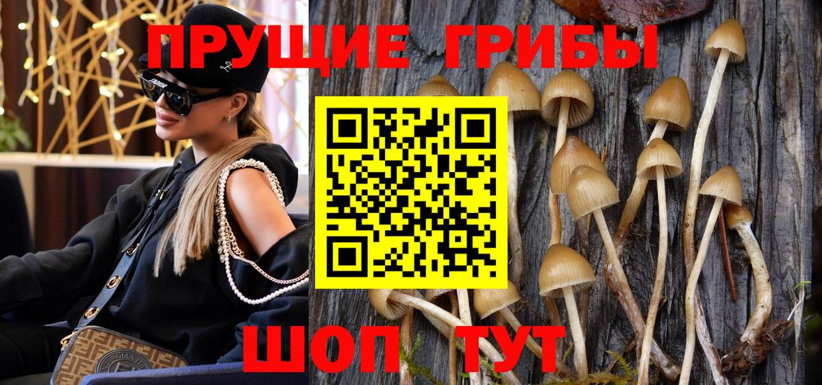 Псилоцибиновые грибы мицелий  Галлюциногенные грибы GOLDEN TEACHER  Вход с VPN  Вологда 